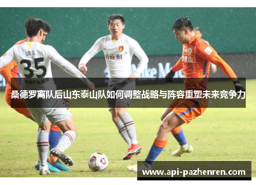 桑德罗离队后山东泰山队如何调整战略与阵容重塑未来竞争力