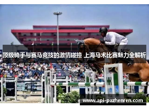顶级骑手与赛马竞技的激情碰撞 上海马术比赛魅力全解析 顶级骑手与赛马竞技的激情碰撞 上海马术比赛魅力全解析