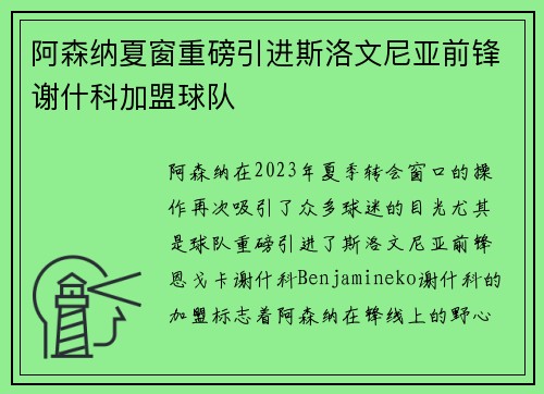 阿森纳夏窗重磅引进斯洛文尼亚前锋谢什科加盟球队
