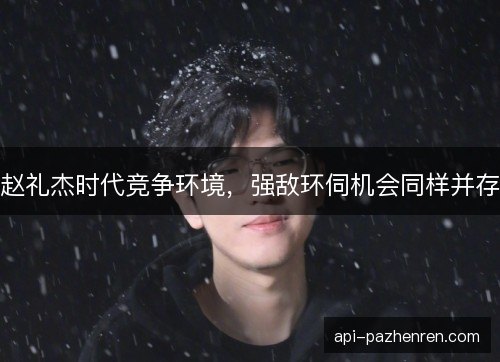赵礼杰时代竞争环境,强敌环伺机会同样并存 赵礼杰时代竞争环境,强敌环伺机会同样并存